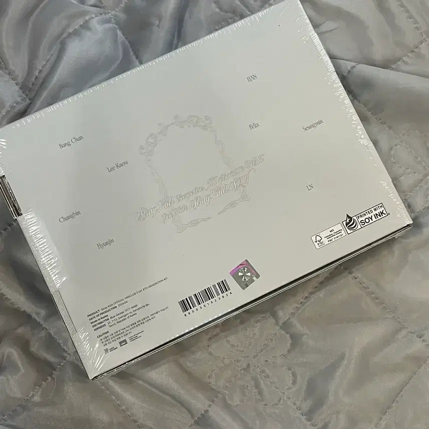 [BUNJANG] Stray Kids 6th Generation Kit / 스테이 6기 키트 양도합니다