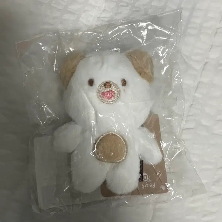 [BUNJANG] Petite Malz Dowoon Doll / 쁘띠멀즈 돈 인형 원가이하 데이식스 도운