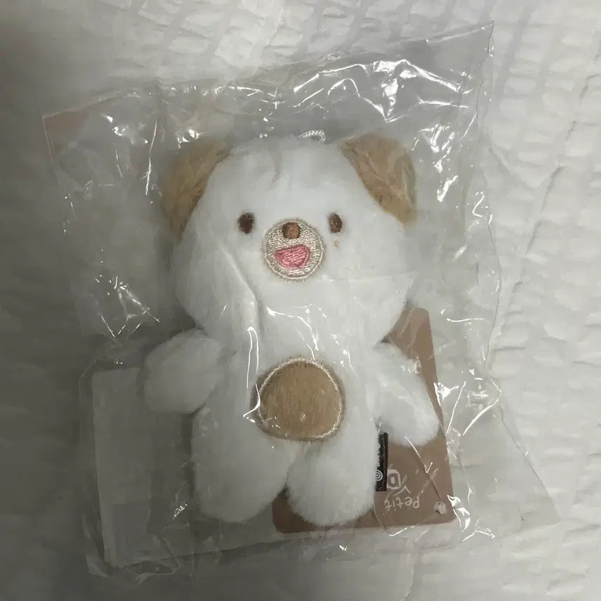 [BUNJANG] Petite Malz Dowoon Doll / 쁘띠멀즈 돈 인형 원가이하 데이식스 도운