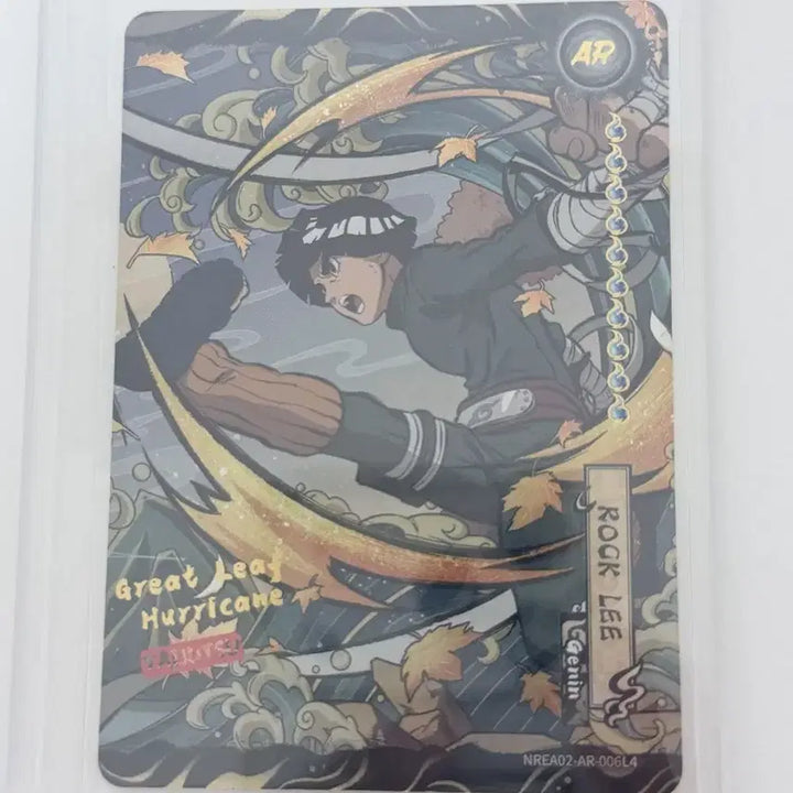 [BUNJANG] Kayou Luoli North American Edition Card / KAYOU 록리 북미판 팝니다