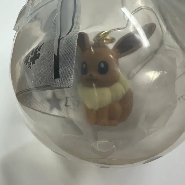 [BUNJANG] Pokemon Petanko Mascot Kanto Region Special Eevee / 포켓몬 페탄코 마스코트 관동 지방 스페셜 이브이