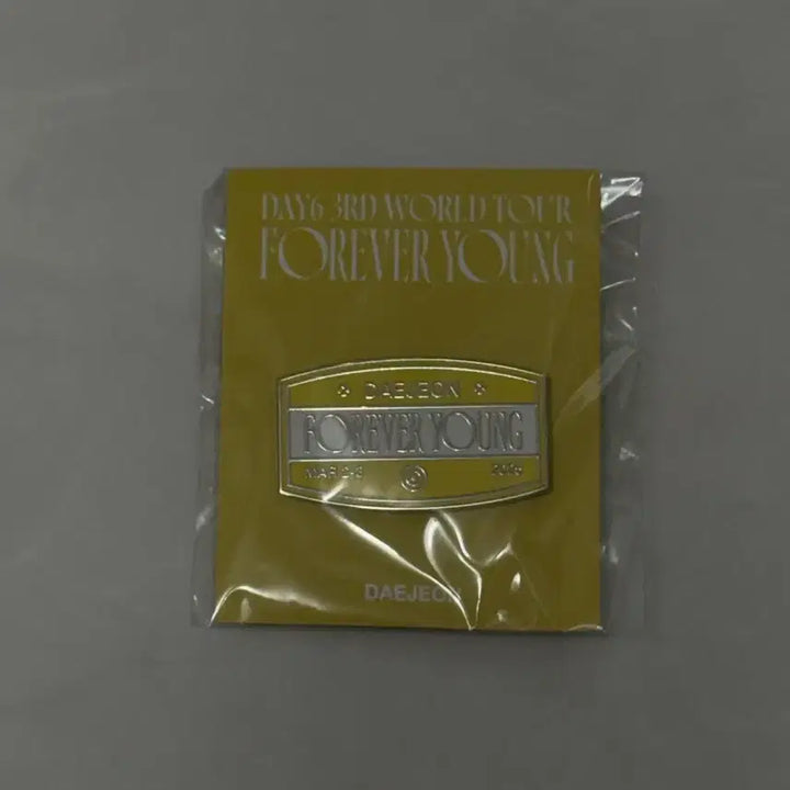 [BUNJANG] DAY6 Forever Young Badge Daejeon Version / 데이식스 포에버영 뱃지 대전 버전