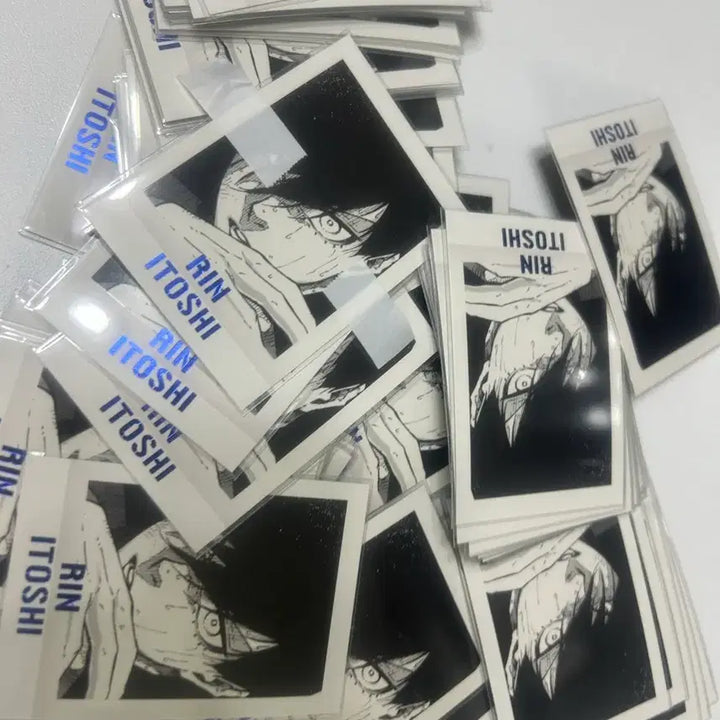 [BUNJANG] Blue Lock Isagi Rin PASHAT Card Set / (더이상가격내림x) 블루록 이토시 린 파샤 66장