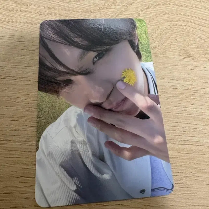 [BUNJANG] RIIZE Shotaro DYD First Press Limited Summer Break Photocard / 라이즈 쇼타로 dyd 초회한정 여름방학 포카 양도합니다