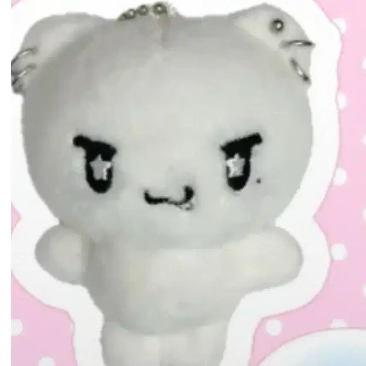 [BUNJANG] ENHYPEN Yuma Doll Bundle Set / 앤팀 유마 인형 양도 윰만두 누찌