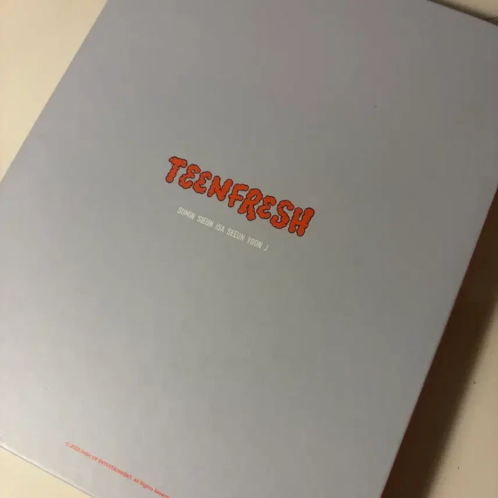 [BUNJANG] STAYC Teen Fresh Photocard Binder / 스테이씨 틴프레쉬 포토카드 바인더
