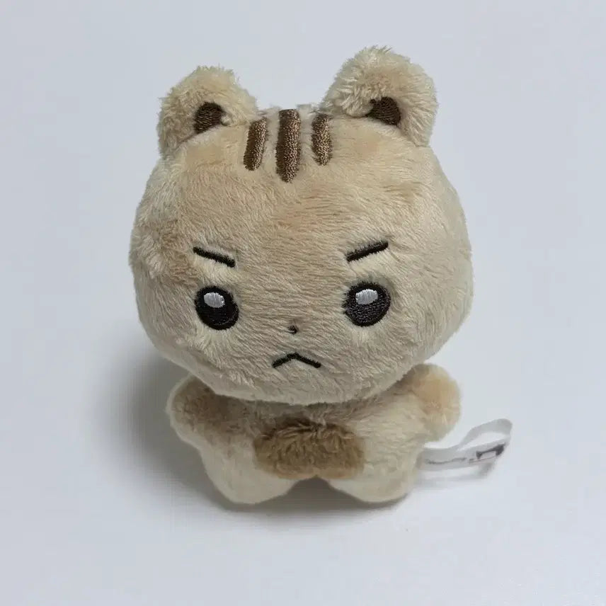 [BUNJANG] Lucy Sangyeop Choi Sangyeop Yeomtolie Doll / 루시 상엽 최상엽 엽톨이 비공굿 인형