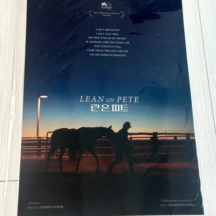 [BUNJANG] Lean On Pete A3 Movie Poster / [전용박스포장]영화 린온피트 포스터(A3)