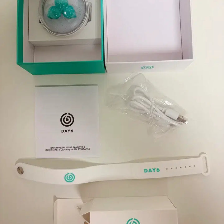 [BUNJANG] DAY6 Made Watch Lightstick / 데이식스 응원도구 마데워치