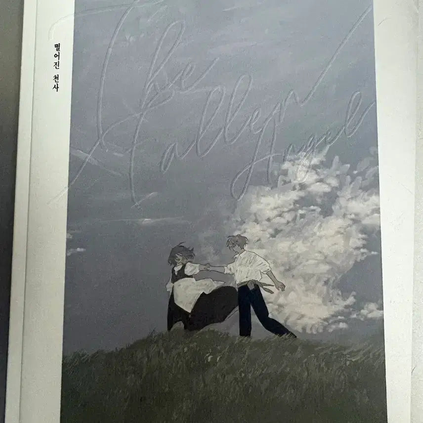 [BUNJANG] Fallen Angel Painting / 사계님 떨어진 천사