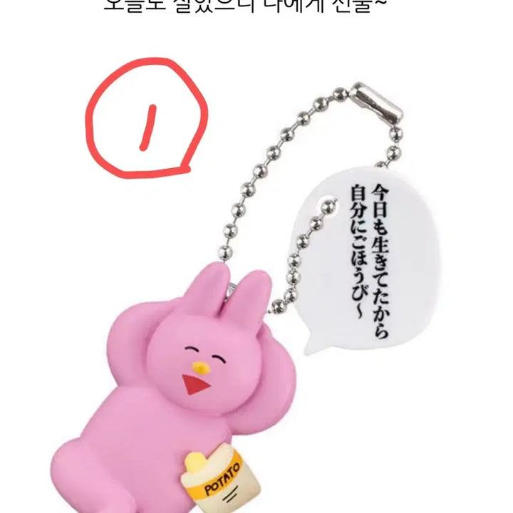 [BUNJANG] Naoyang Mascot Keychain Bundle Set / 나오냥 마스코트 키링 4종 일괄 판매