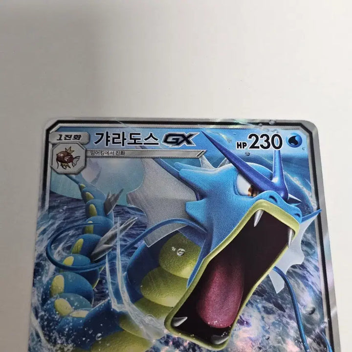[BUNJANG] Pokemon Card Gyarados GX Promo / [포켓몬카드] 갸라도스 GX 프로모
