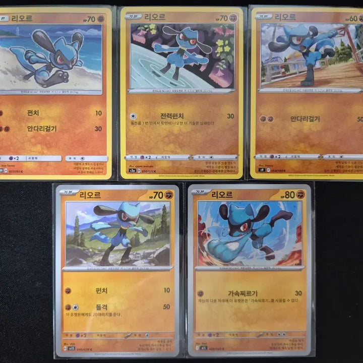[BUNJANG] Lior 5-Card Set / 