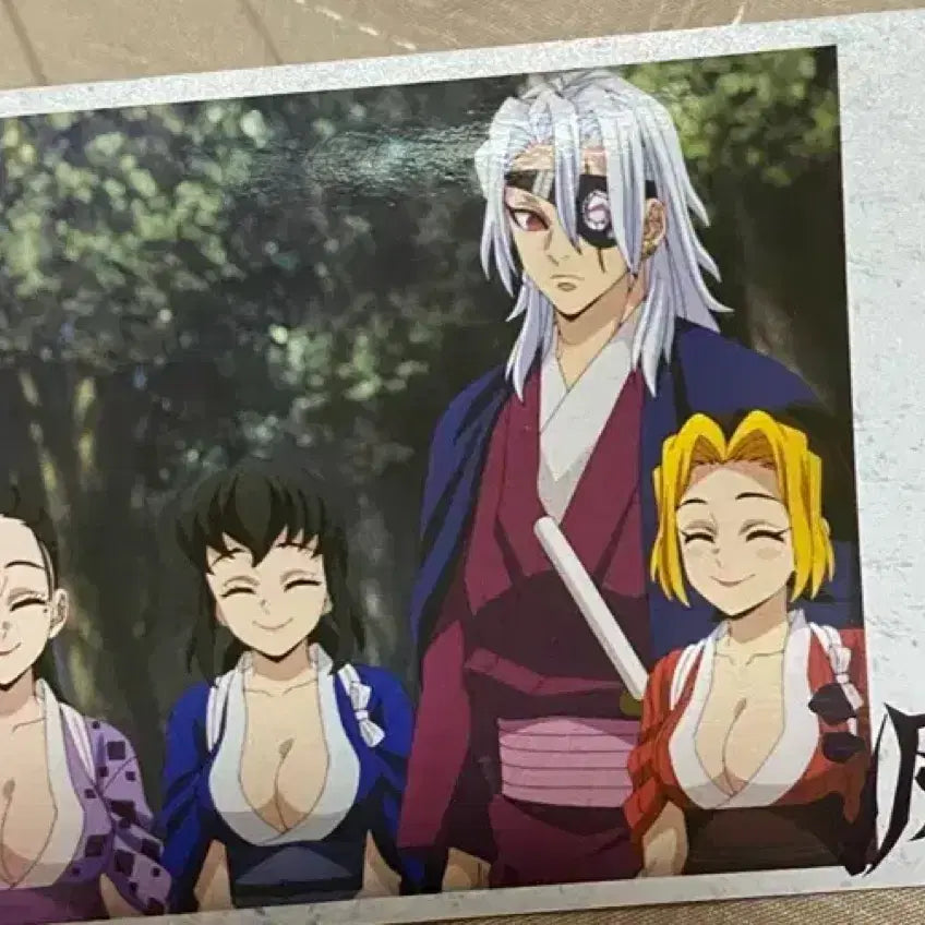 [BUNJANG] Demon Slayer: Kimetsu no Yaiba Trading Cards / 귀멸의칼날카드