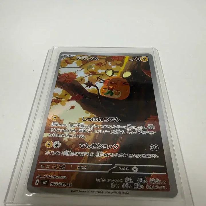 [BUNJANG] Dendenne AR Japanese Version Card / 데덴네 ar 일판