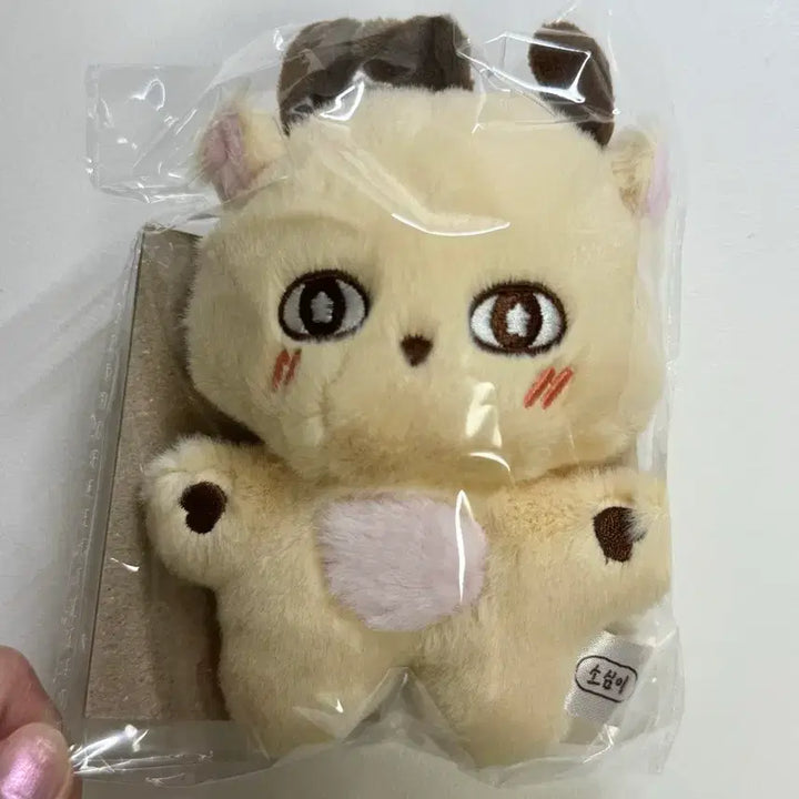 [BUNJANG] Park Jihoon Sosimi Doll Sealed / <택배비 포함>박지훈 소심이 미개봉 양도합니다