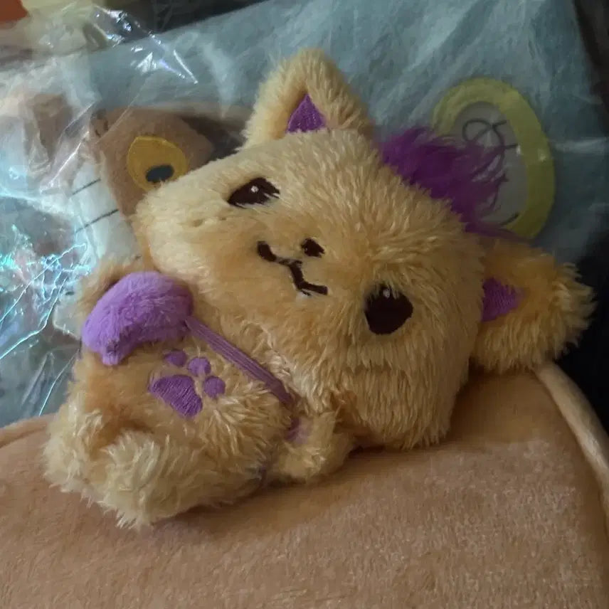 [BUNJANG] Wish Doll SIONING First Edition / 오늘만 3.3) 위시돌 시오닝 초판