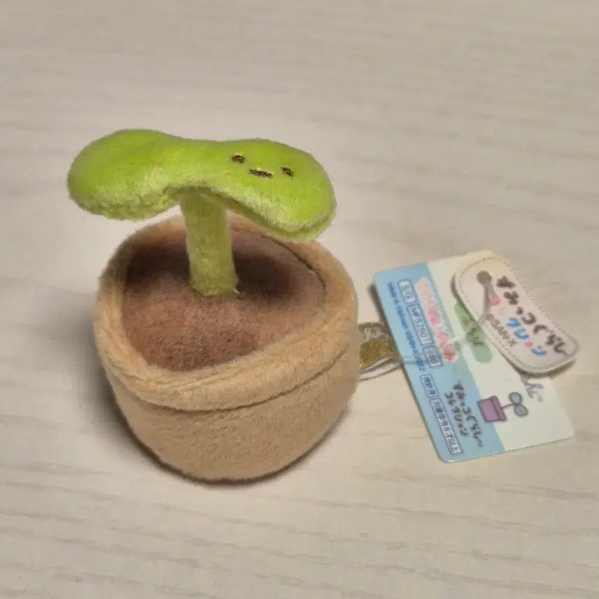 [BUNJANG] San-X Sumikko Gurashi Limited Edition Rare Sprout Plush / 스밋코구라시 한정판 희귀 새싹식물