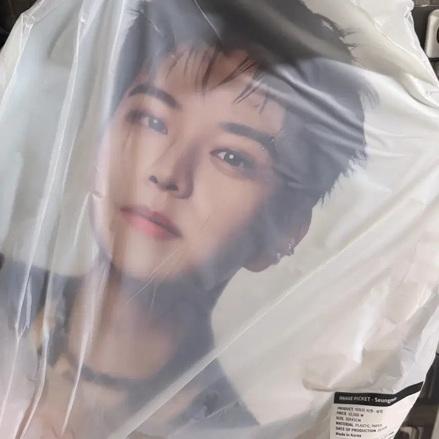 [BUNJANG] Stray Kids Dominat Uchiwa Seungmin / 스트레이키즈 스키즈 도미네이트 우치와 승민