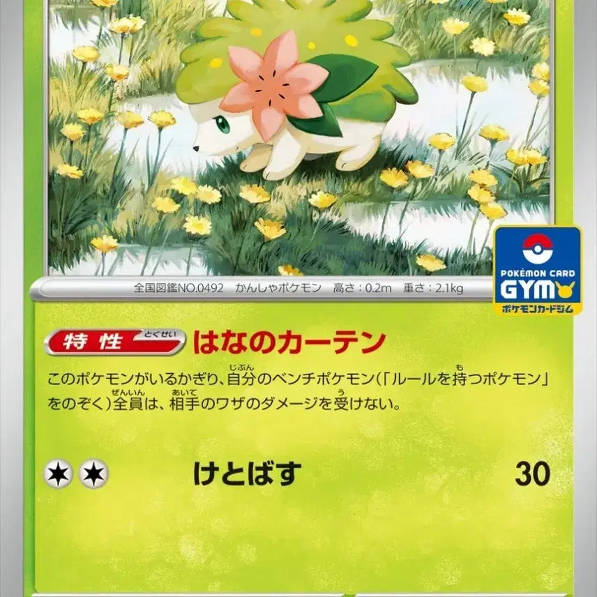 [BUNJANG] Pokemon Card Mega Promo 4th Gen, Jim Card, Shaymin (Japanese) / 포켓몬 카드 메가 mega 프로모 4탄 짐카드 쉐이미 일판 판매 및 교환