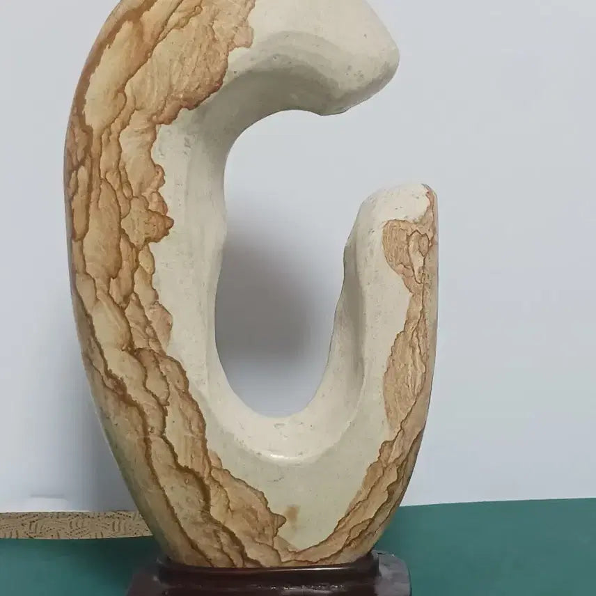 [BUNJANG] Suiseki (Mokmunseok) Viewing Stone / 수석(목문석)