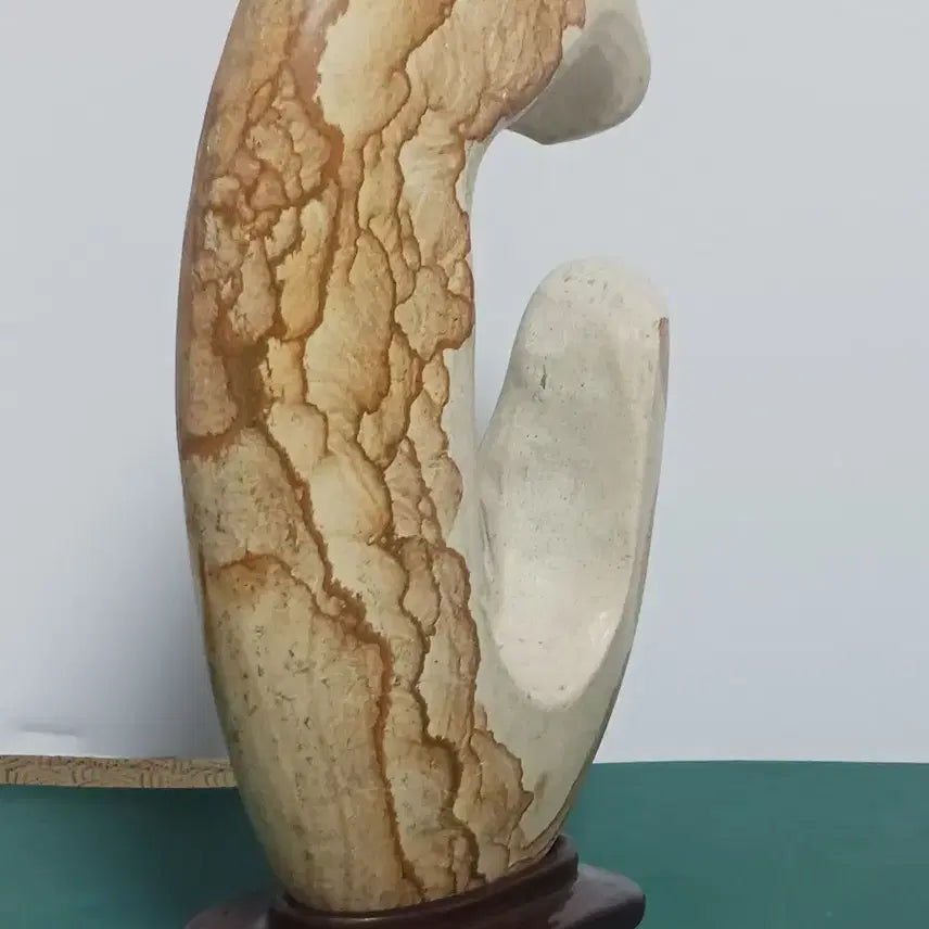 [BUNJANG] Suiseki (Mokmunseok) Viewing Stone / 수석(목문석)