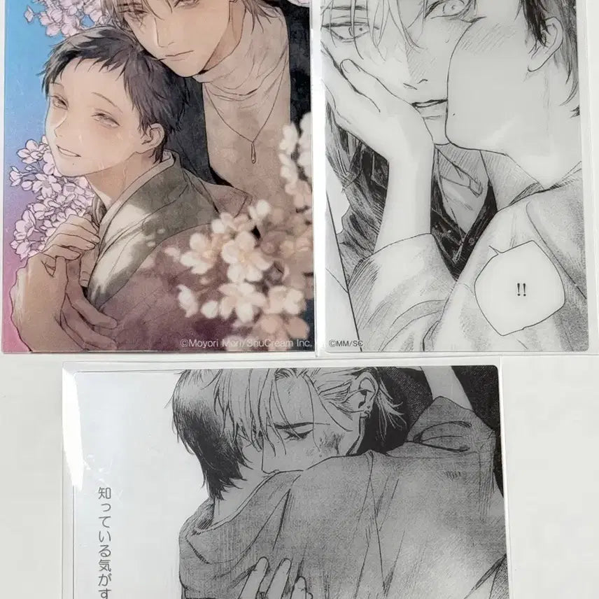 [BUNJANG] Your Night Transparent Photocard / 너의 밤에 닿는다 투명포카 양도