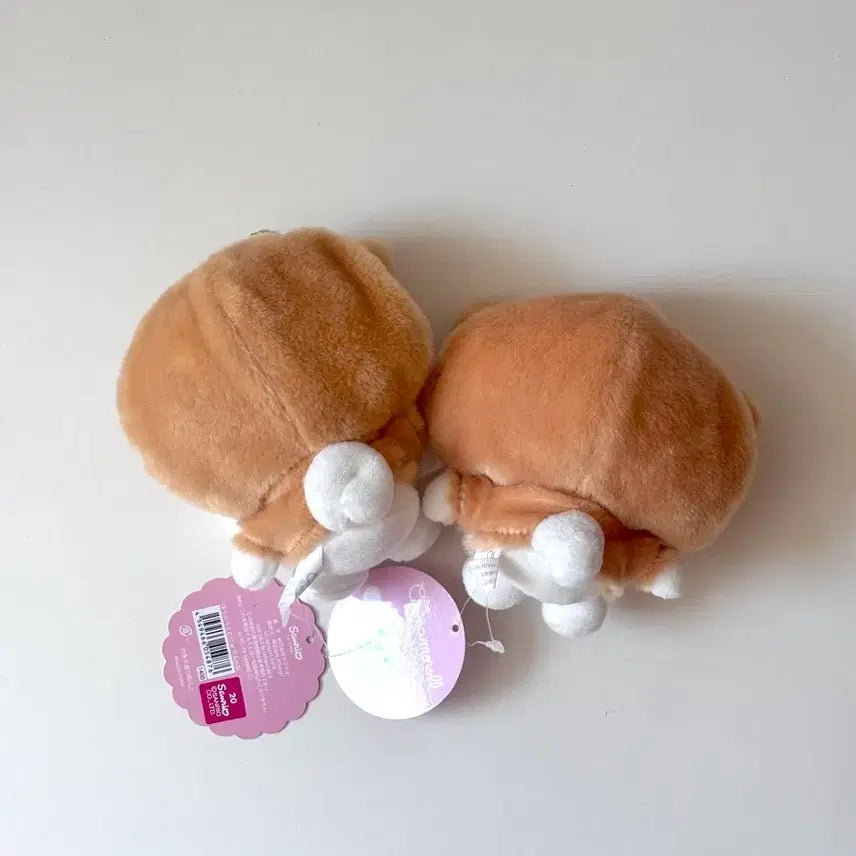 [BUNJANG] Sanrio Cinnamoroll Mocha Bundle Set / 산리오 시나모롤 모카 일괄