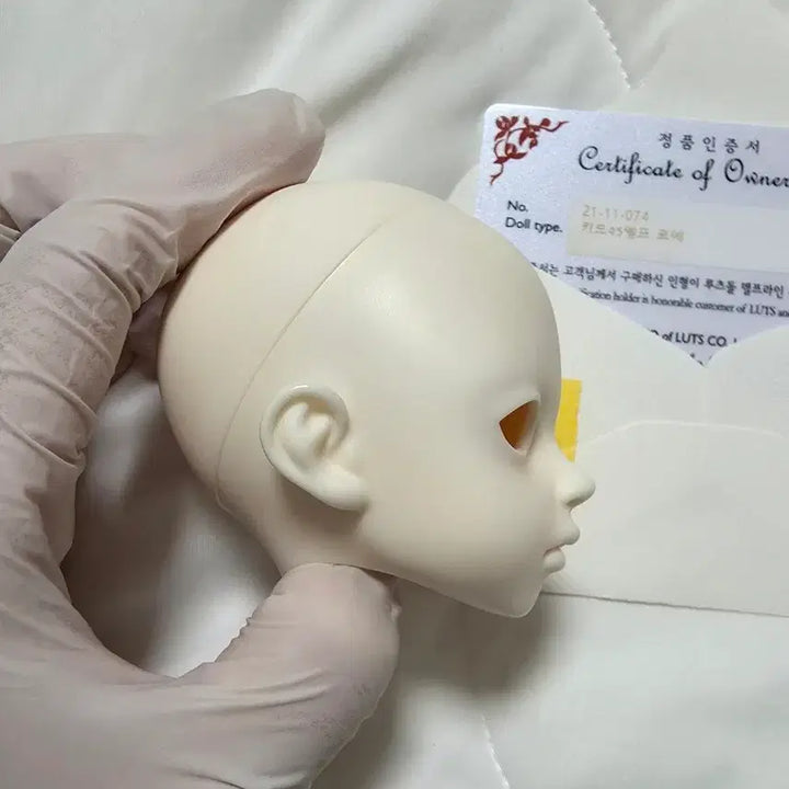 [BUNJANG] LUTS Kid Delf Roa White Skin Head / (msd)루츠돌 키드델프 로에 미백 헤드