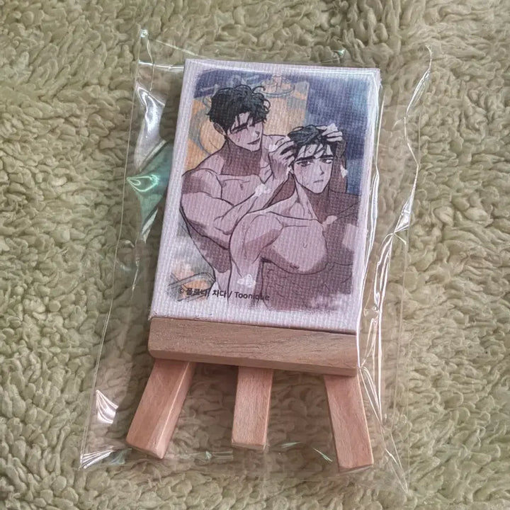 [BUNJANG] DTR Define The Relationship Mini Canvas Frame Tunic Colca / 디티알 디파인 더 릴레이션십 미니 캔버스 액자 투니크 콜카 dtr