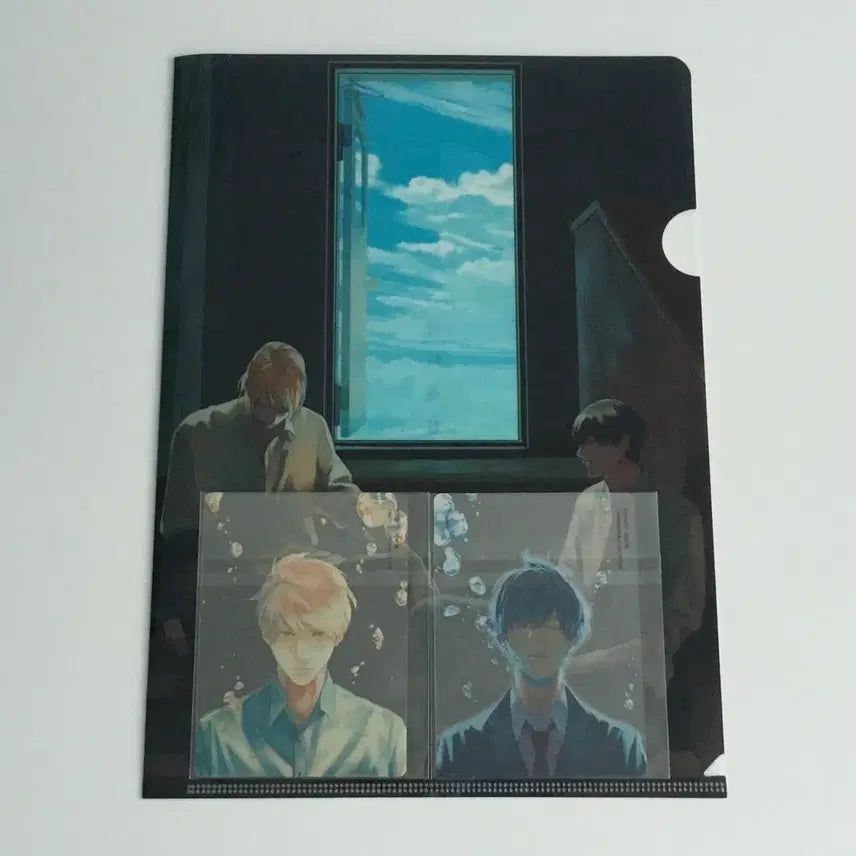 [BUNJANG] Depth of Field A4 File &amp; Clear Card Set / 일본 비엘 bl 피사계심도 A4파일, 클리어 카드 세트