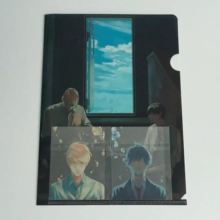 [BUNJANG] Depth of Field A4 File &amp; Clear Card Set / 일본 비엘 bl 피사계심도 A4파일, 클리어 카드 세트