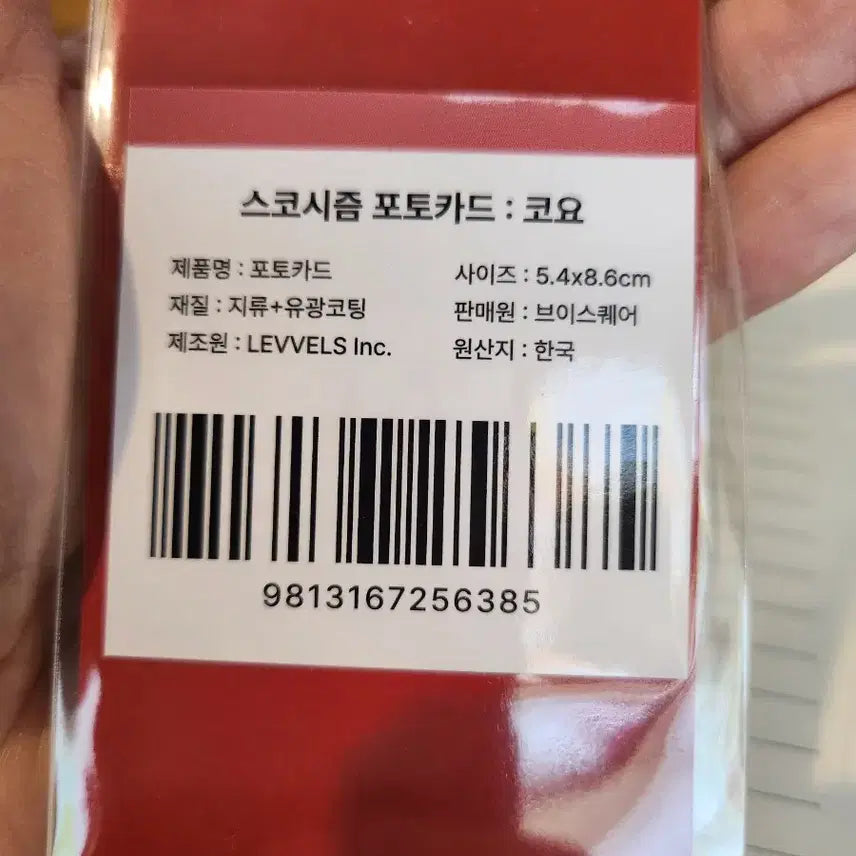 [BUNJANG] SCOSHISM Koyo Photocard / 스코시즘 코요 포카