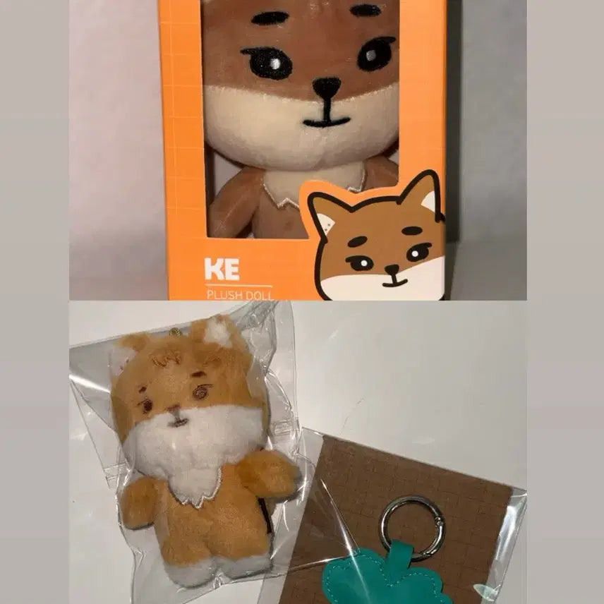 [BUNJANG] Day6 24DEMULPPEMUL Bundle Set Keyring / 원가이하 데이식스 24데쁘멀 케, 4기키링