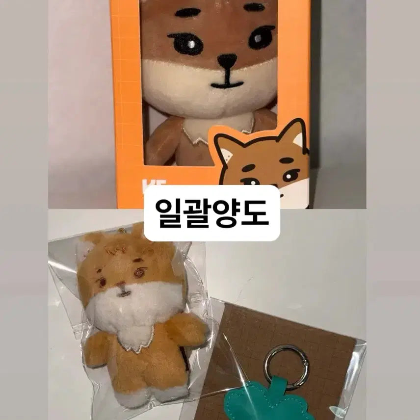 [BUNJANG] Day6 24DEMULPPEMUL Bundle Set Keyring / 원가이하 데이식스 24데쁘멀 케, 4기키링