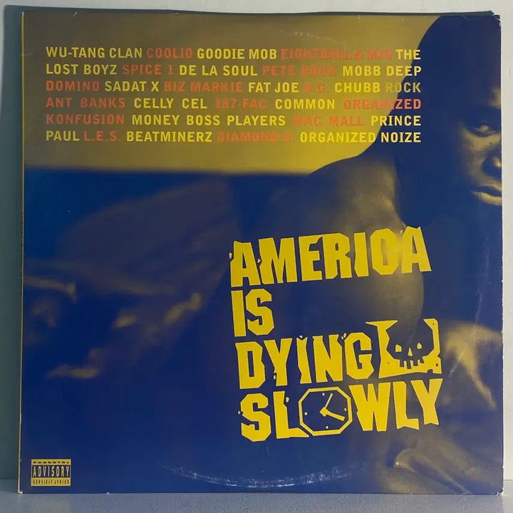 [BUNJANG] Various Artists America Is Dying Slowly (2LP) Hip Hop Vinyl Record / (수입중고LP-힙합) America Is Dying Slowly (2LP