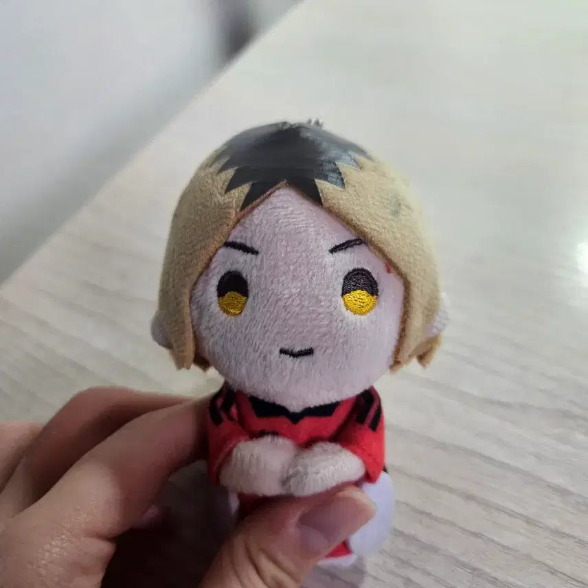 [BUNJANG] Haikyuu!! Kenma Plush Doll / (가격내림) 하이큐 켄마 누이 팝니다