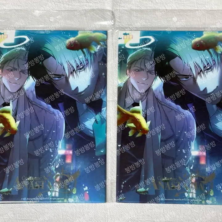 [BUNJANG] Anastasia Codeine (Code Ana) Zhenya Takju Celadon Card Mercury Studio Aquarium Ver. Unsealed / [미개봉] 코드네임 아나스타샤 코드아나 중국 머큐리 스튜디오 수족관 색지
