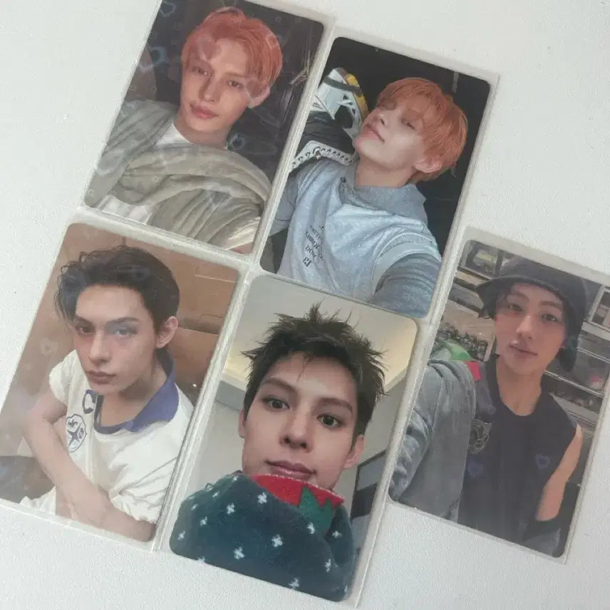 [BUNJANG] KORTIZSE Martin Photocard / 코르티스 포카 양도 마틴주훈성현건호제임스