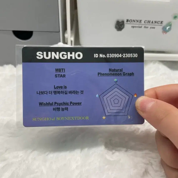 [BUNJANG] BounD Seungho Photocard / 보넷도 성호 포카 (처분)