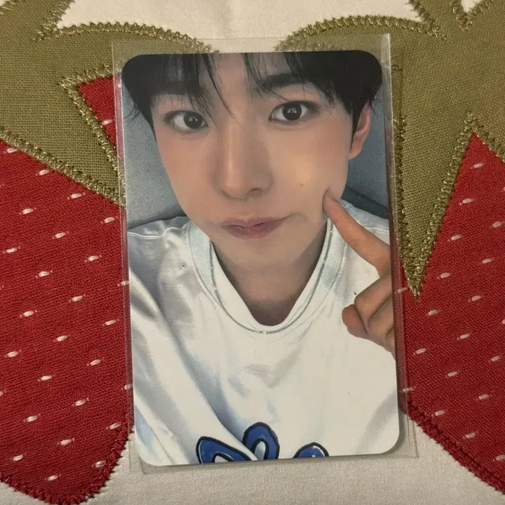 [BUNJANG] NCT WISH Yushi Songbird Music Art Photocard POB / 유우시 송버드 뮤직아트 포카 미공포 엔시티위시