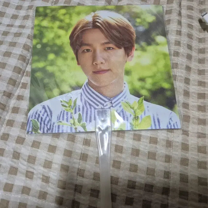 [BUNJANG] EXO Baekhyun Nature Fan / 네이처 백현 부채