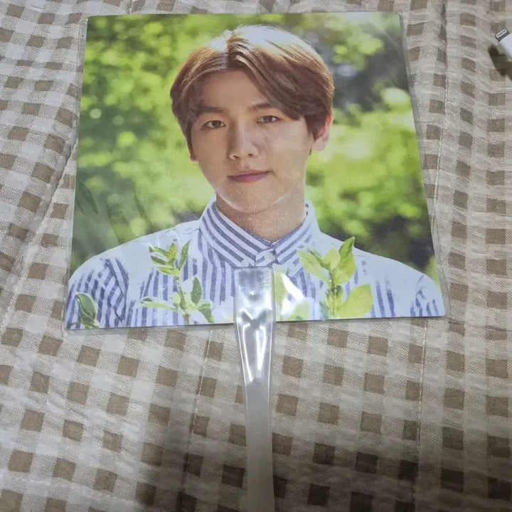 [BUNJANG] EXO Baekhyun Nature Fan / 네이처 백현 부채