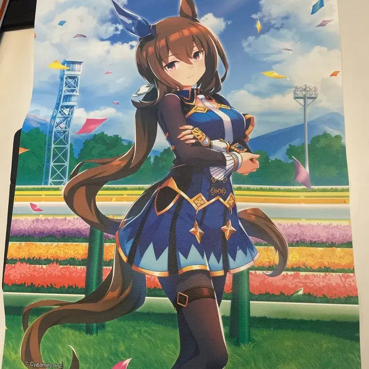 [BUNJANG] Umamusume: Pretty Derby Admire Vega Canvas Tapestry / 우마무스메 프리티더비