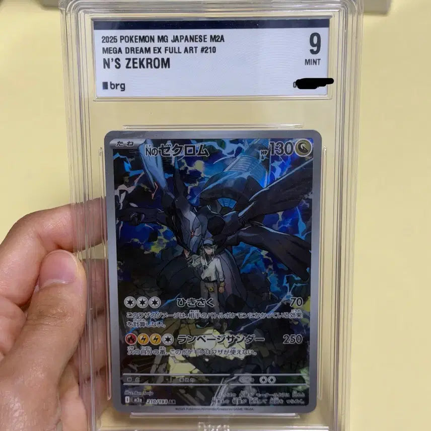 [BUNJANG] Pokemon Card N&