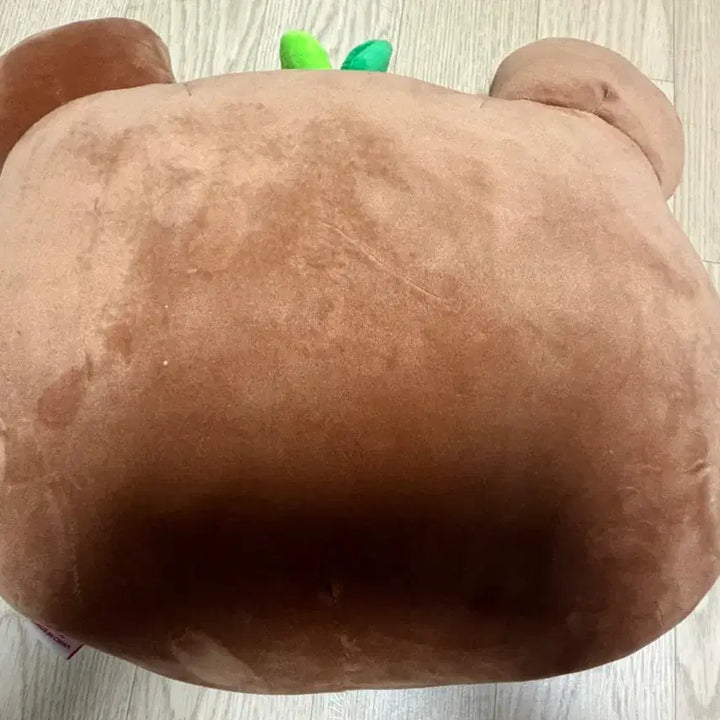 [BUNJANG] Jjongbear Cushion Doll / 쫑베어 쿠션 인형