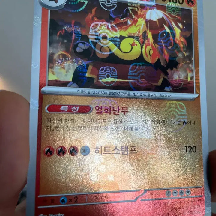 [BUNJANG] Pokemon Card Entei Master Ball / 포켓몬카드 염무왕 마스터볼 마볼카드