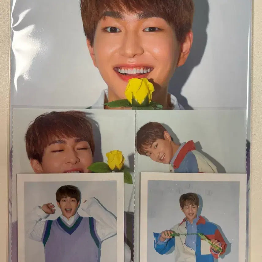 [BUNJANG] SHINee 2019 Season&