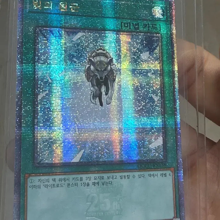 [BUNJANG] Quarter Century Chronicle Side: Unity 25th Anniversary Booster Box / 빛의 원군 쿼터 센츄리 싴 25주년