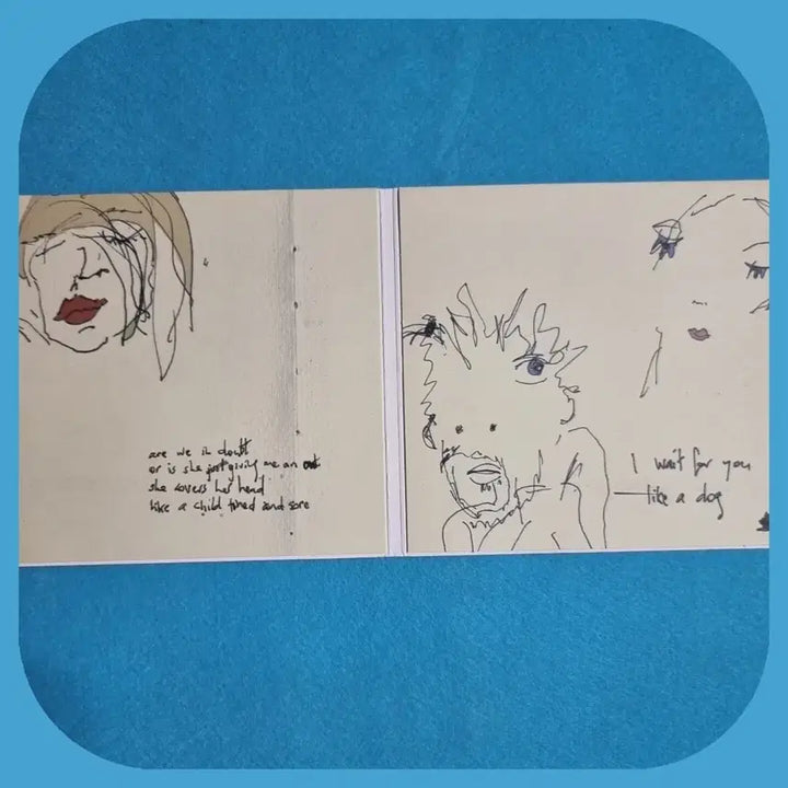 [BUNJANG] Damien Rice 9th Album CD Unused / 데미안 라이스  CD  미사용